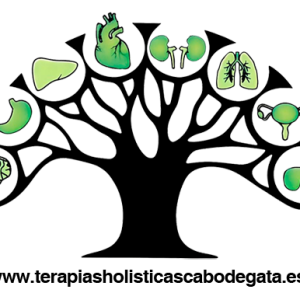 1 Sesión de Terapia Energética